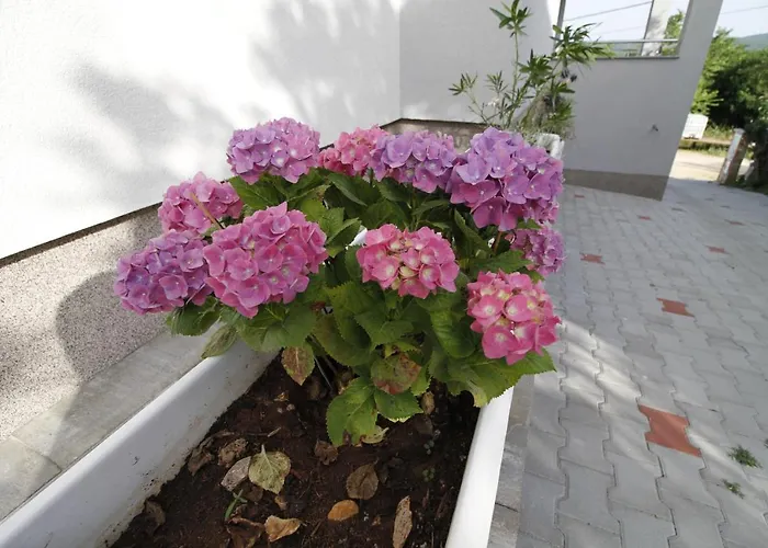 Apartment Klaudija