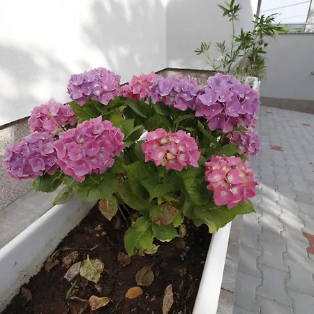 Apartamento Klaudija